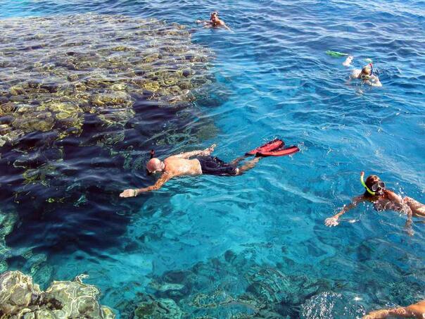 Italian diplomat victim of shark attack in Egypt
