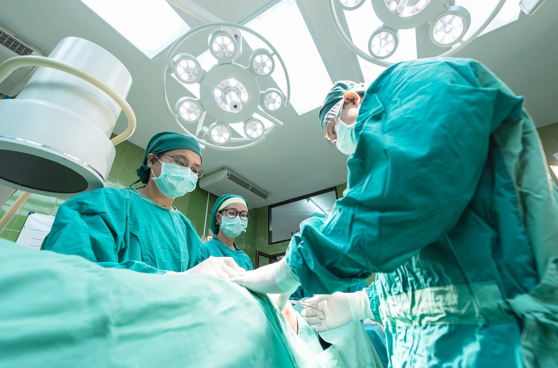 Progress in transplant in the Federation of BiH: Record number of transplants in the last ten years