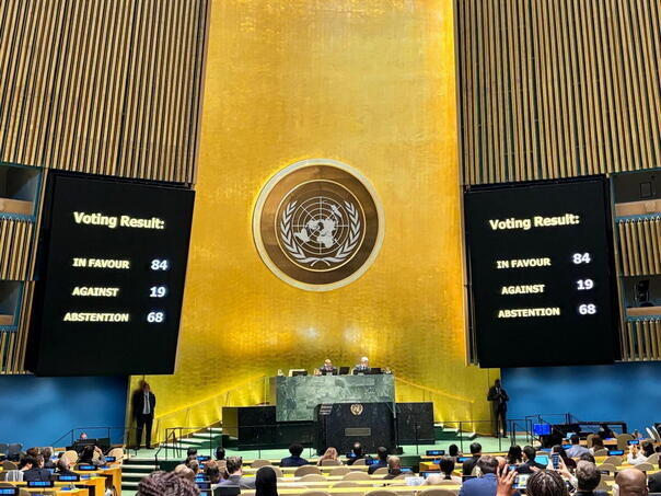 IGC: Resolution on Srebrenica event of 2024.