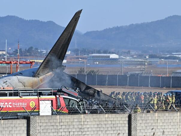 The engines of the plane that crashed in South Korea showed signs of a collision with a bird