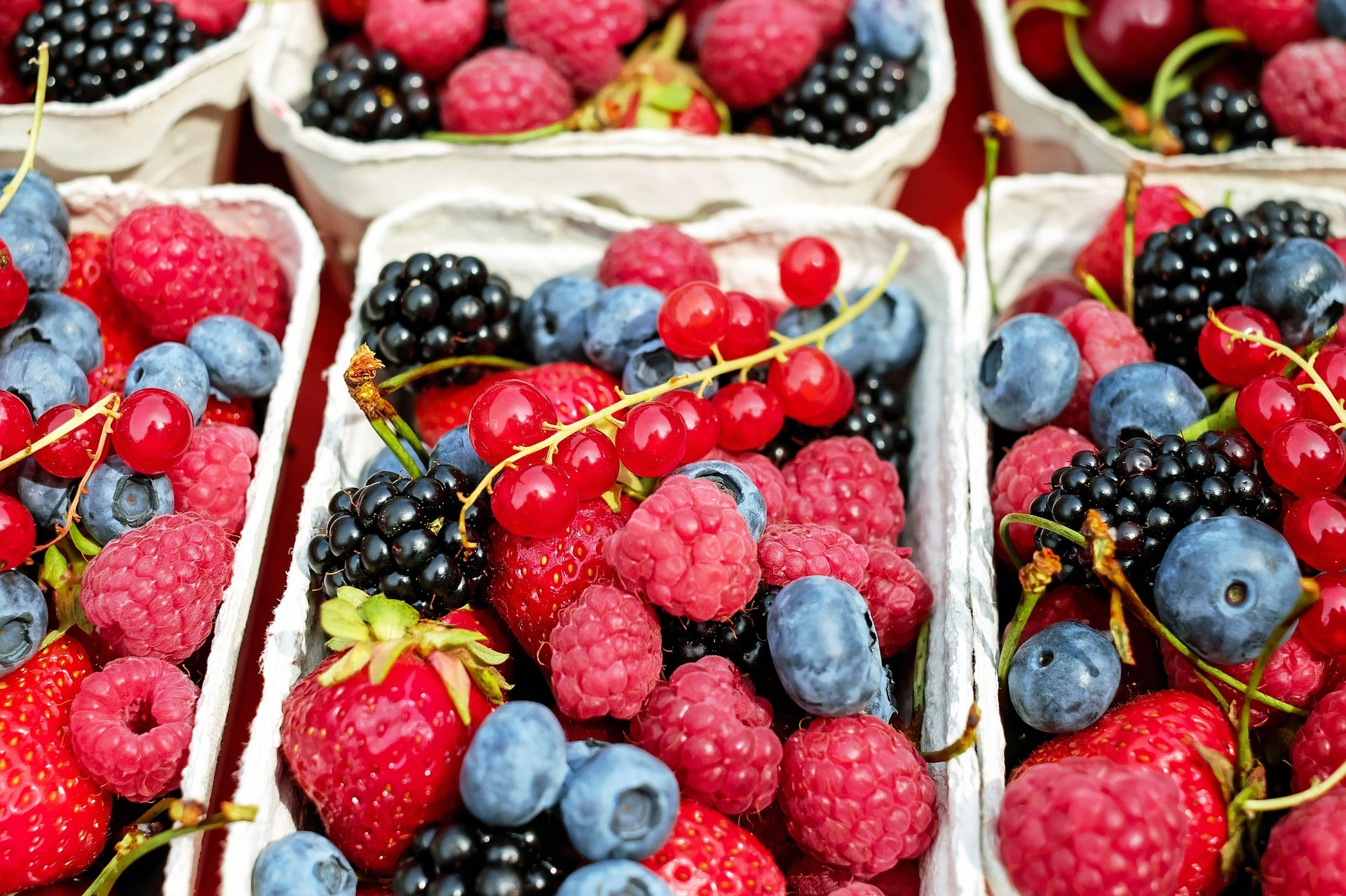 Abuses in agricultural production are not rare: On the BiH market, most eco-products are fake
