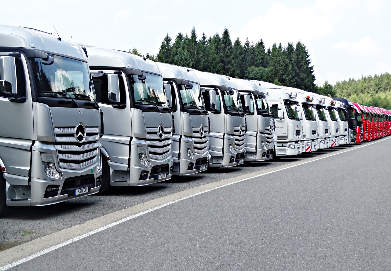 Drivers from Bosnia and Herzegovina are at risk of losing their jobs due to strict controls in the EU