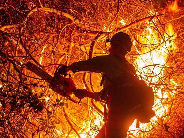 At least 35 people disappeared in the fires in Los Angeles