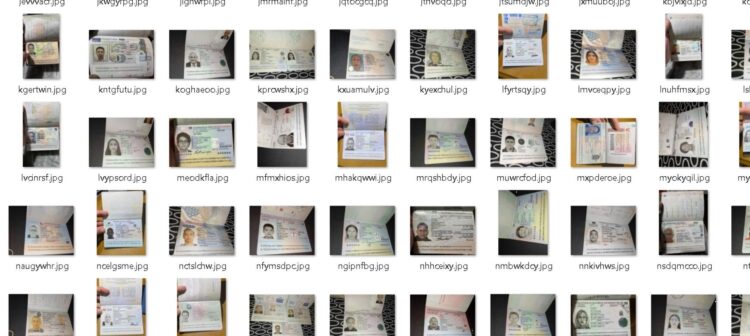 The Dark Web sells BiH’s passports: Many do not know that