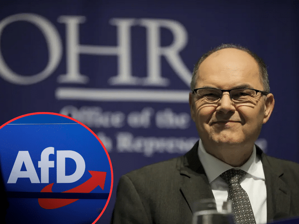 AFD in Bundestag asks for the Legitimacy of Schmidt appointment for a high representative
