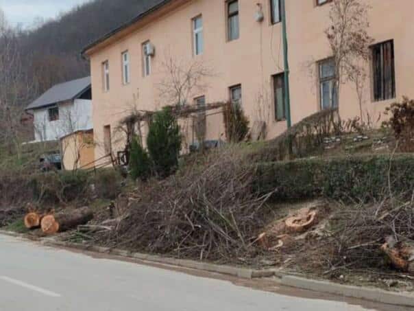 In Goražde, diseased and dilapidated trees removed