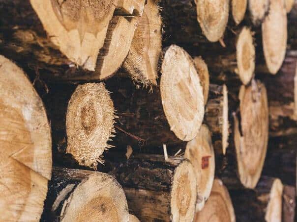 Driver in Sarajevo had a crash, so the police accidentally discovered that he stole the forest