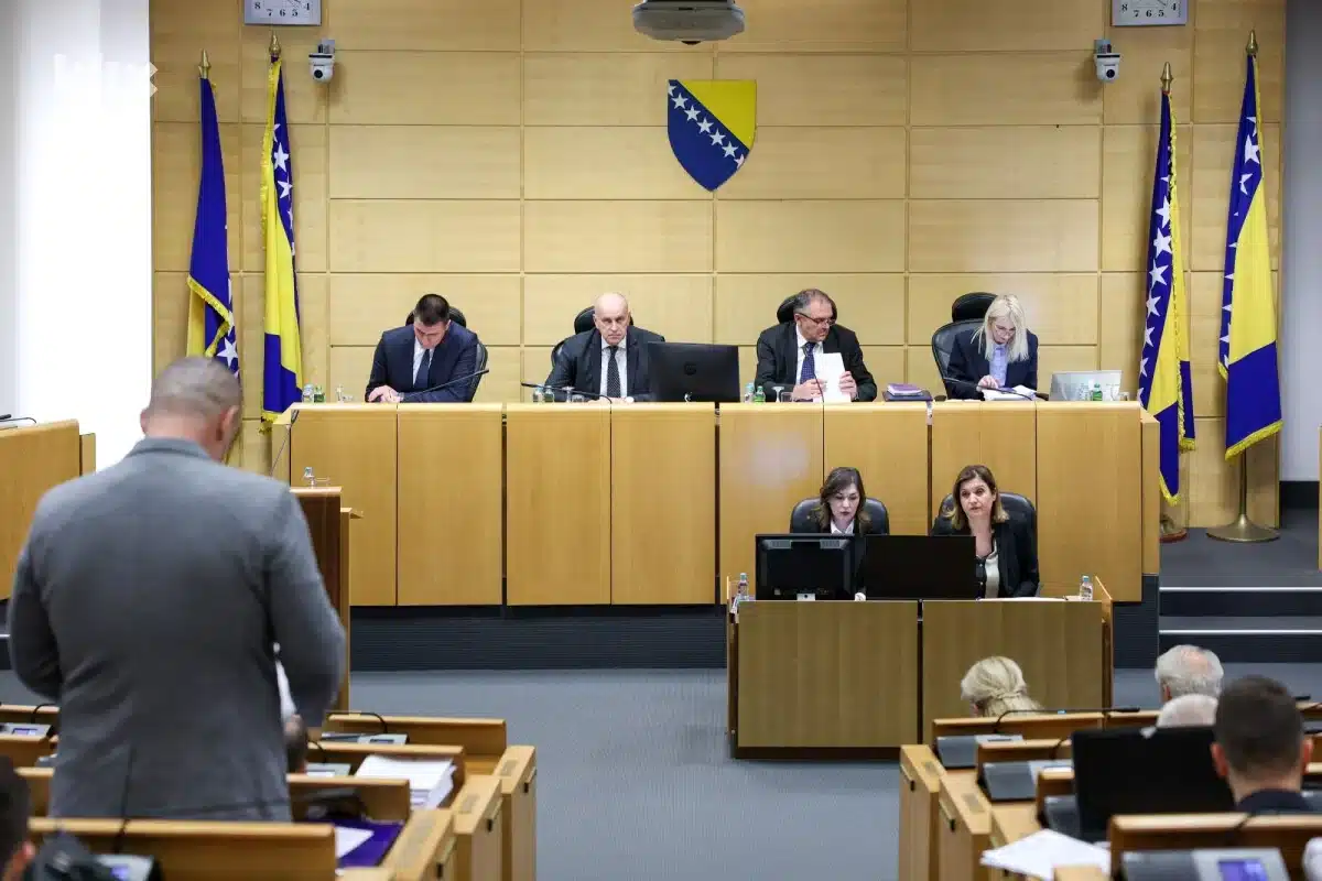 Unanimously adopted Law on Protection against Domestic Violence and Violence against Women in FBiH