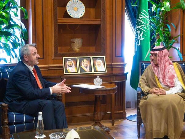 Ambassador Colic: Saudi Arabia is among the best friends of BiH