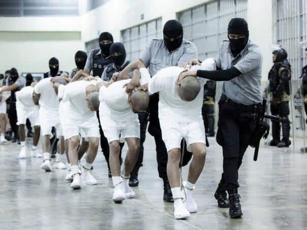 Narcocarde members deported from the USA