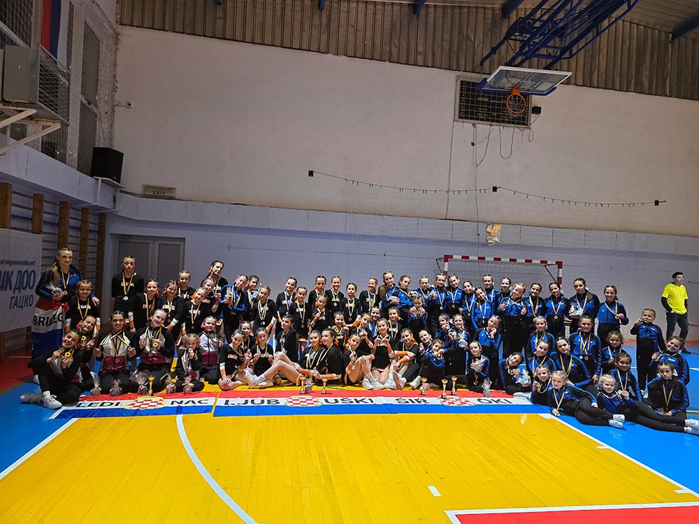 They travel to Slovenia and Korea: HCK widescreened a place in the European and World Championships