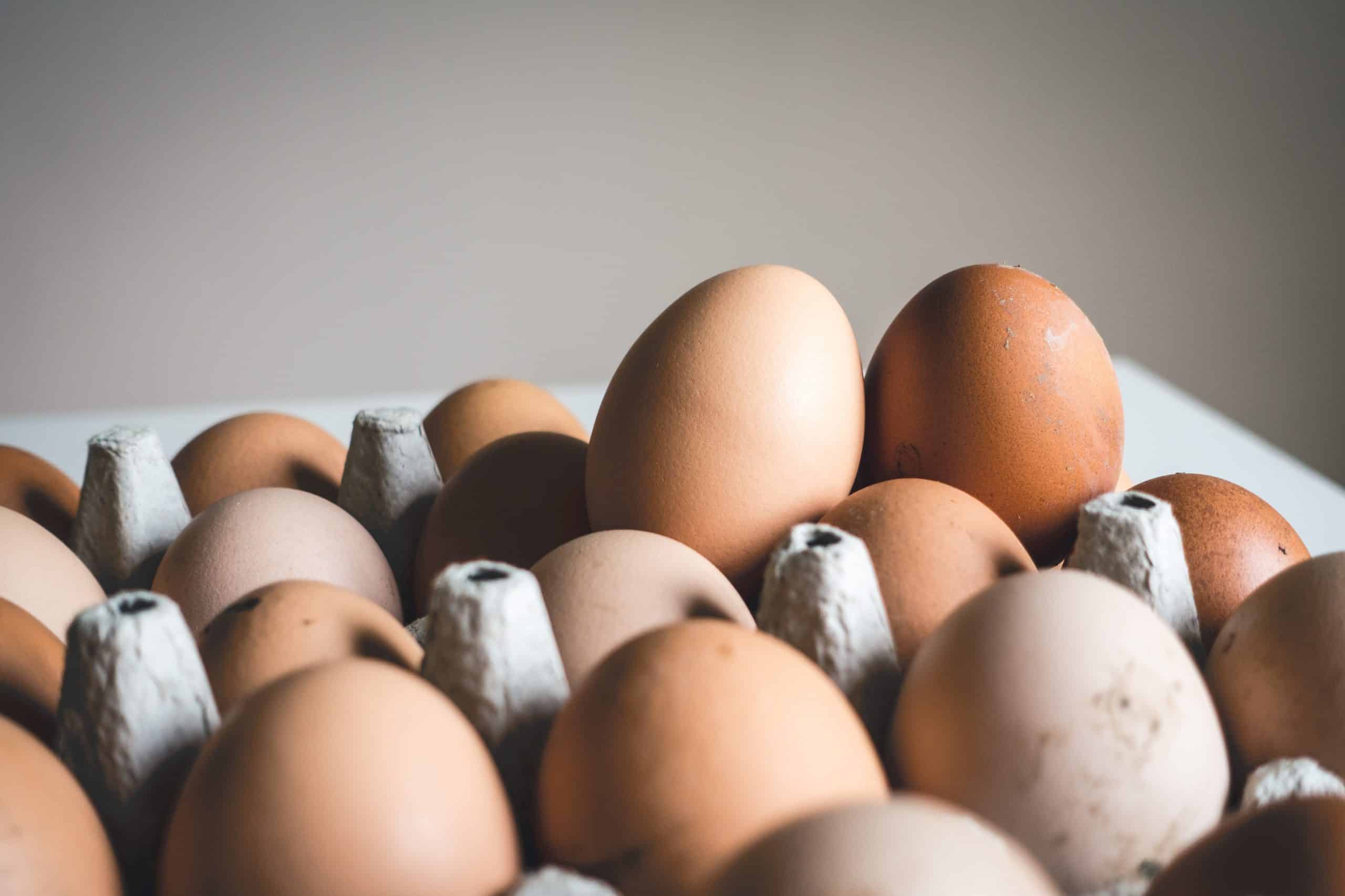 And Europe threatens shortage: Eggs will rise in BiH behind the holidays, here