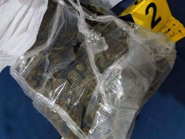 Konjic: Police found a larger amount of drugs, one person on the run