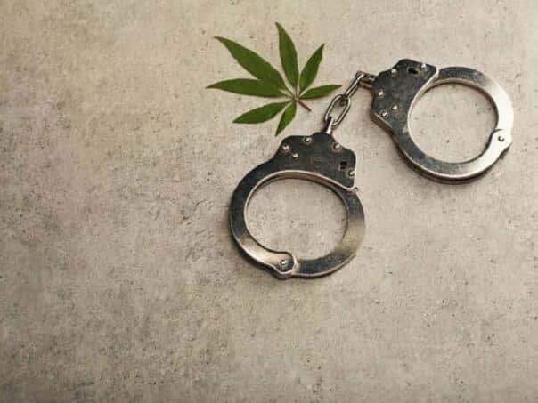 Senad Peles accused that he sent a Packetić marijuana per child