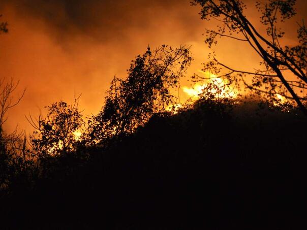 Fires erupted in South Korea