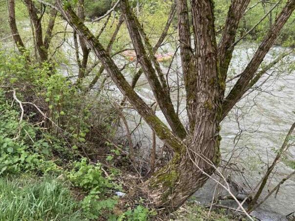 In the Vrbas River, a lifeless body found