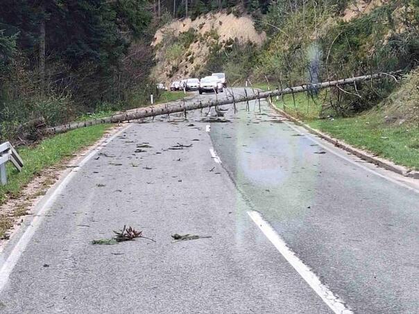 The wind knocked down and several trees on the road Banja Luka-Čađavica