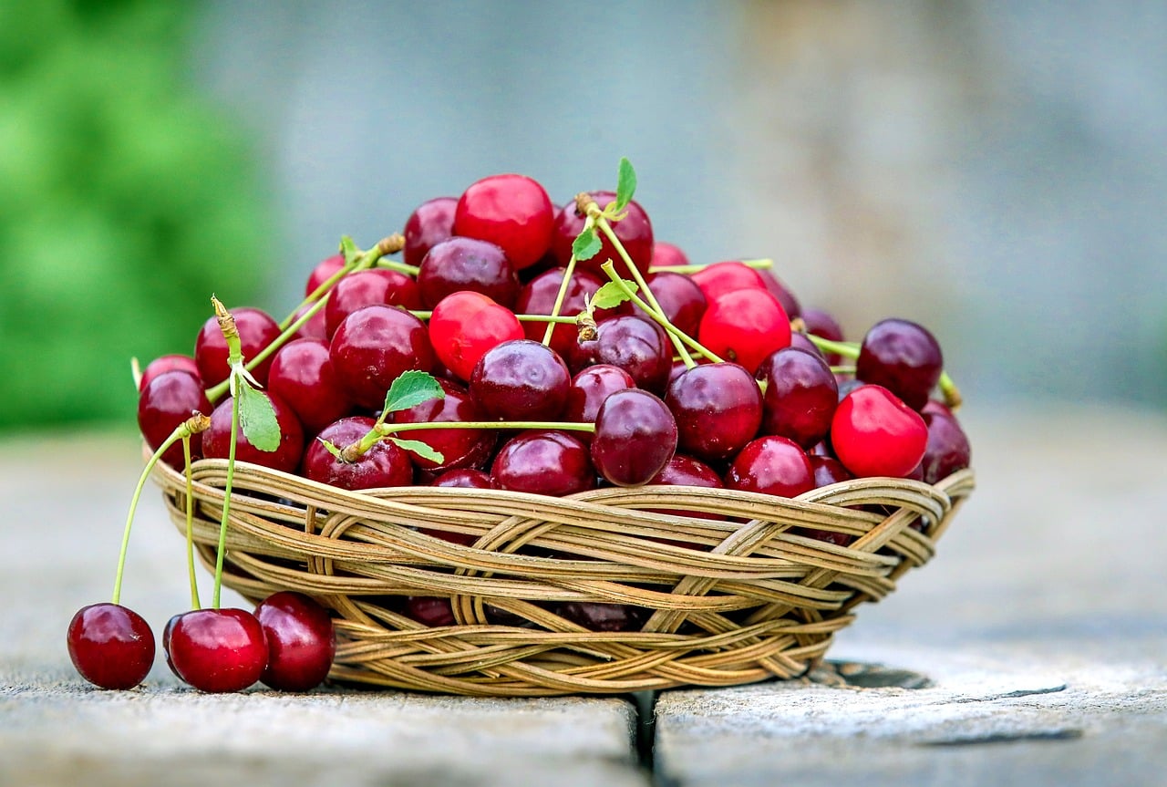Citizens indignant: Who else can pay a cherry ticket 18 KM?