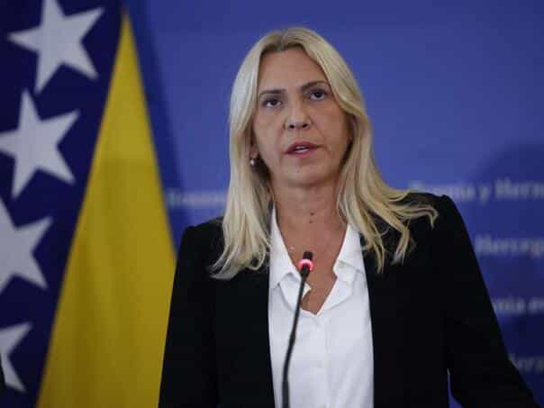 Cvijanovic: I will not address in the UN in the name of the whole BiH