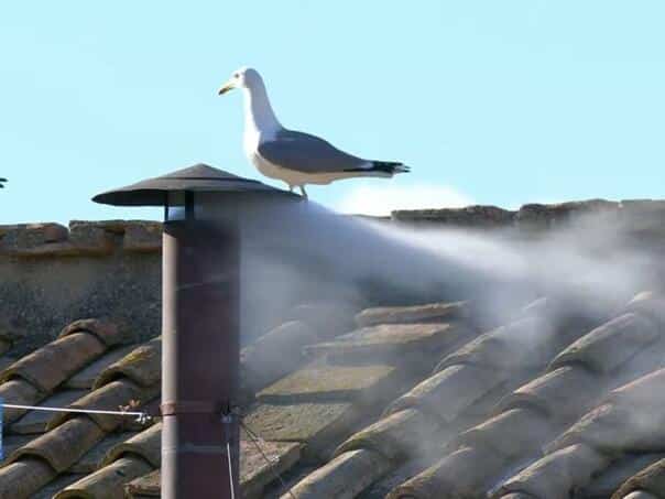 We have a new Pope: What is happening now and when will we find out who was chosen?