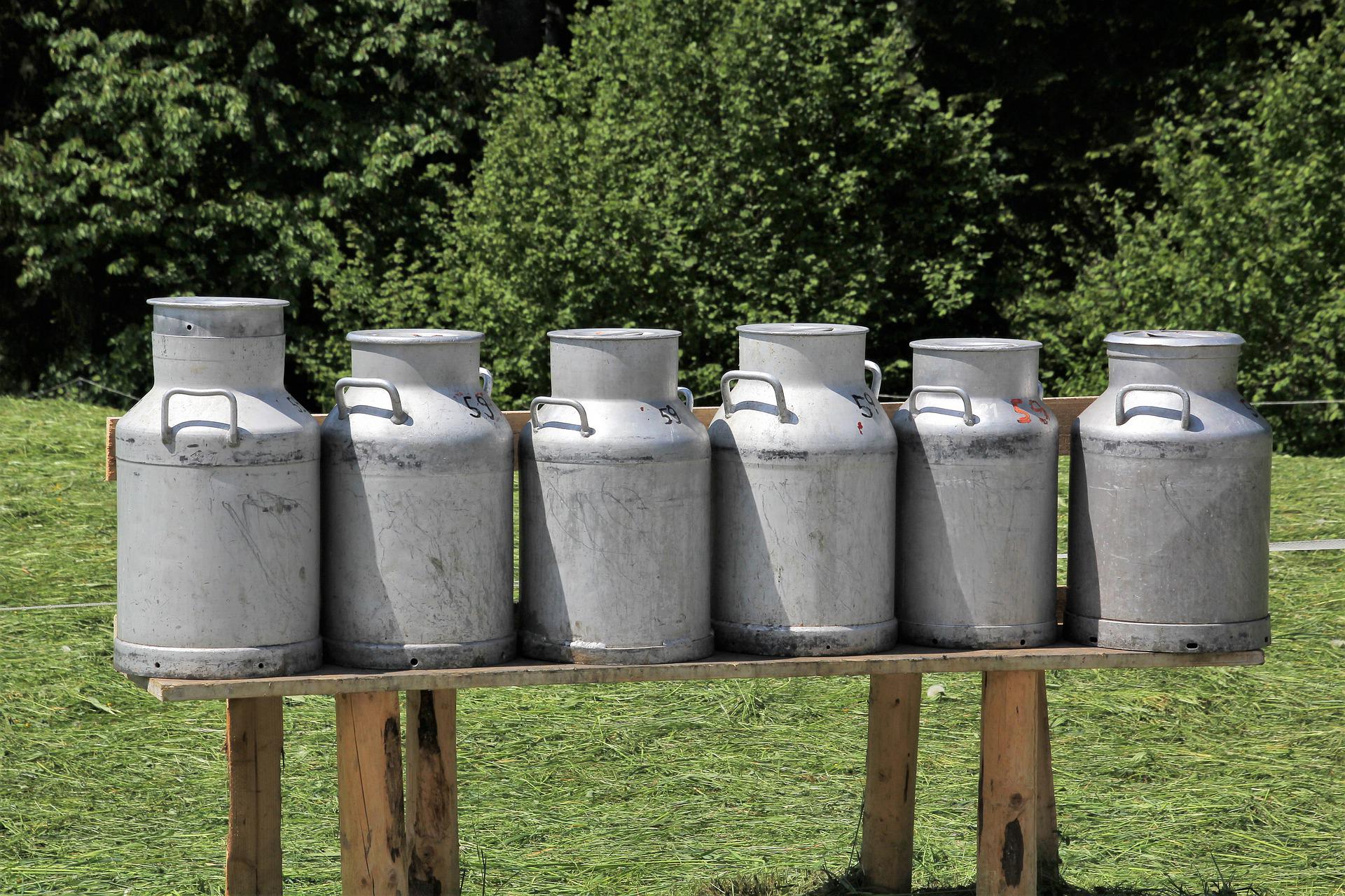 Dairies claim: The last 12 days or liter of milk from FBiH is not exported to Serbia