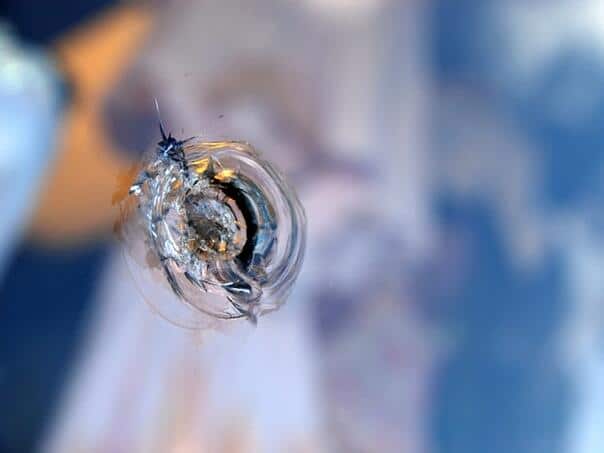 New shooting in a wide hill, the bullet ended in the family house window