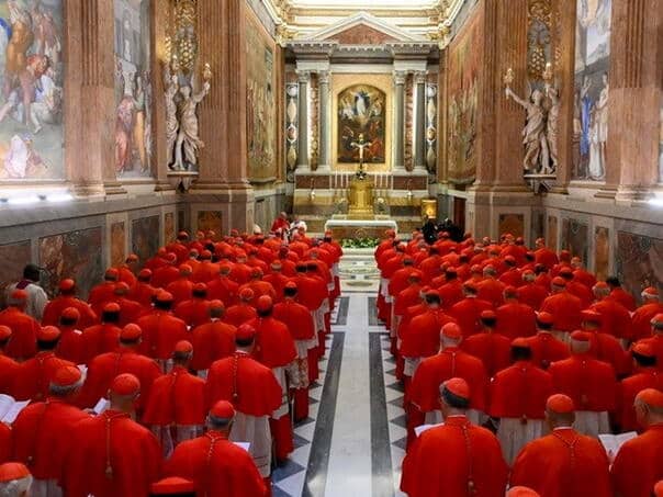 Pope Francis appointed more than 80 percent of the cardinal who choose his successor