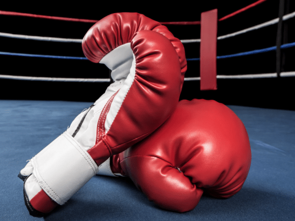 Association for support for professional boxing in BiH host 77. Congress of Abu