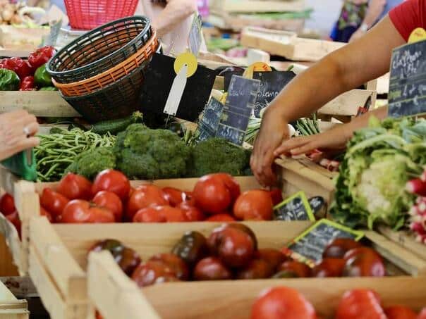 Almost half food in Europe contains pesticide residues, combination causes cancer