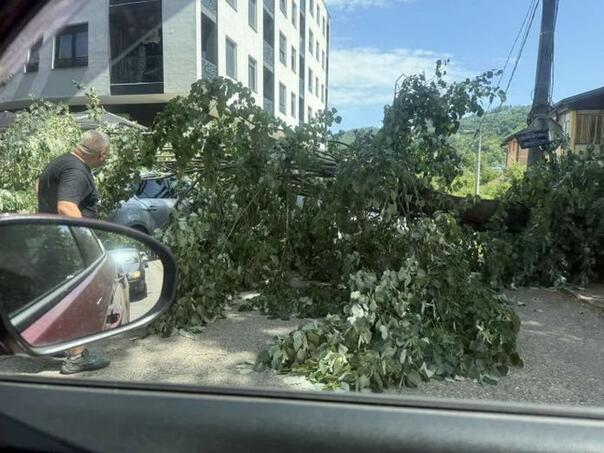 Wood was collapsed in Banja Luka and damaged several vehicles