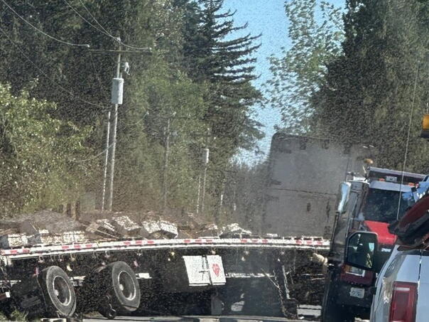 A truck with 250 million bees overturned in the US