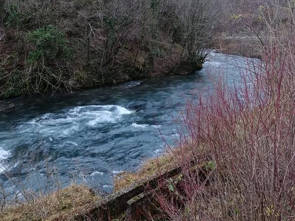 Horror in Shipovo: In the platoon riverbed found the body of a man