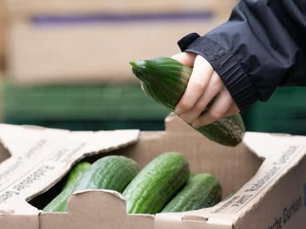 A 50-e-People have been paid, the number of patients grows: Due to the vegetables, the epidemic of salmonela
