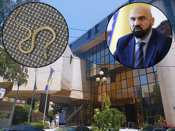 Controversy around the snake: Did he come in by accident or someone unioed?