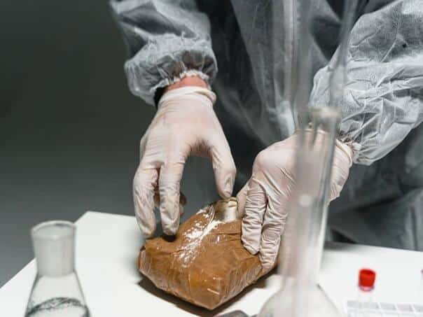 Spain: Palo 48 dealers and seized four tons of cocaine