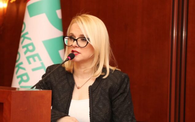 Published Trial Judgment for President of PDA Elzin Pirić: I prison sentenced to 16 months in prison