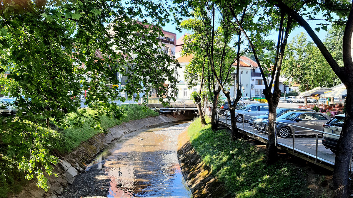 Tešanj: Notice for dog owners and domestic animals
