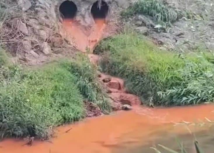 Bh. Rijeka again polluted, threaten her fish pardon