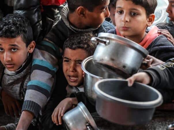 Hunger reached new proportions in Gaza: Kids cry and scream for food!