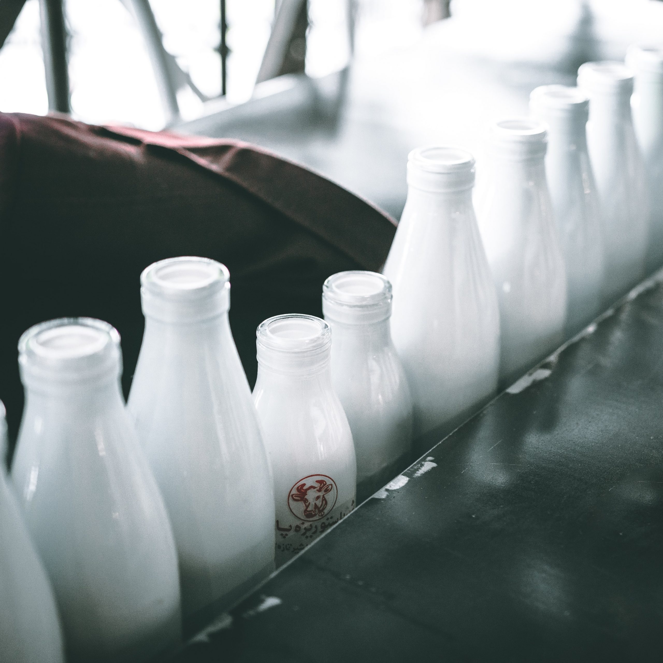 BiH spent 267 million KM on the import of milk