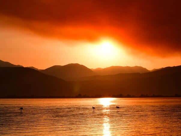 Heaven Above Greece Change Color: Fires, Heat and Chaos