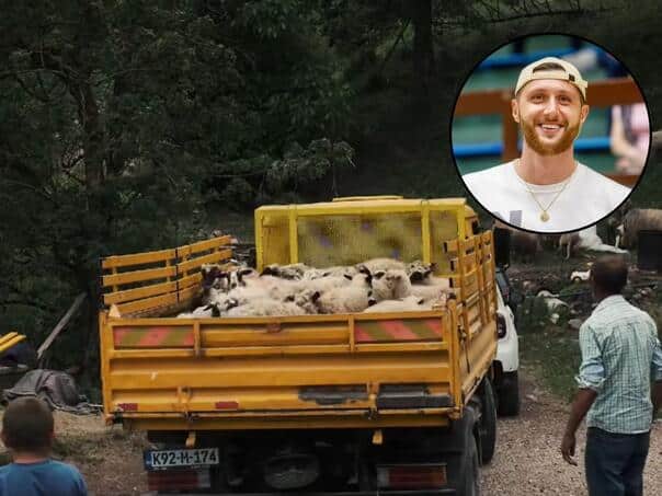Nurkic saved the Foče family: bought them a new herd after the wolf attack