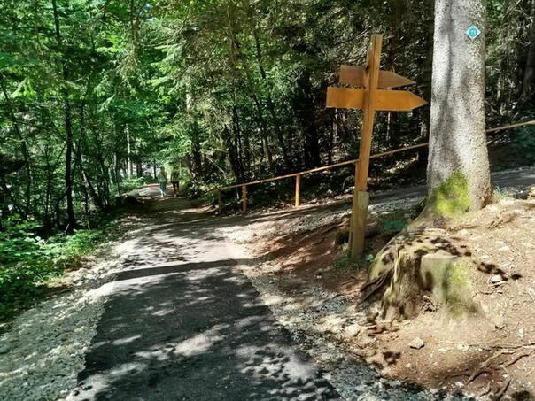 Prime Minister UK: Salvation from the heat, see Nature – from Trebević to Srela Bosnia