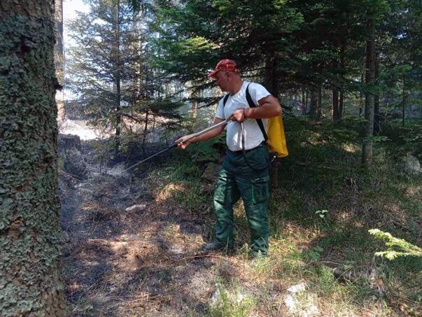 Srebrenica: Teams on the field, the fire condition is checked