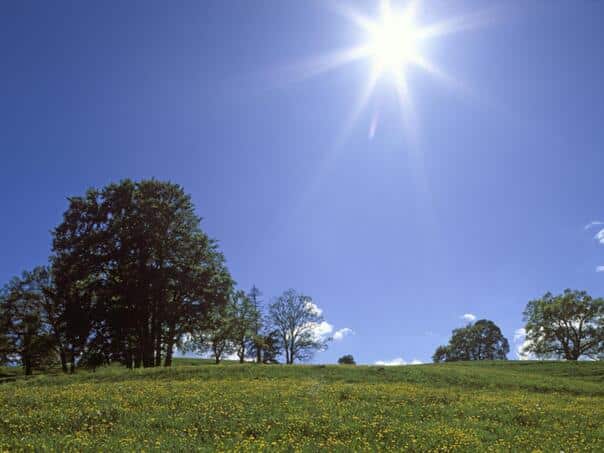 The sun fries: today the warmest day of the week throughout the country
