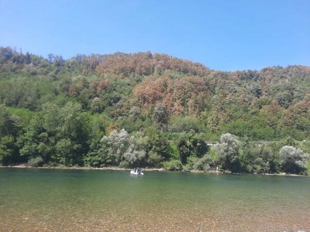 Tragedy in Bijeljina: The woman drowned in the Drina