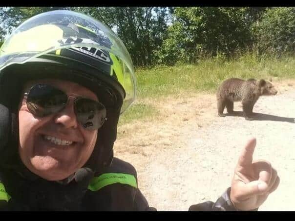The tourist stopped to take a picture of a bear, he took him to the forest and killed him