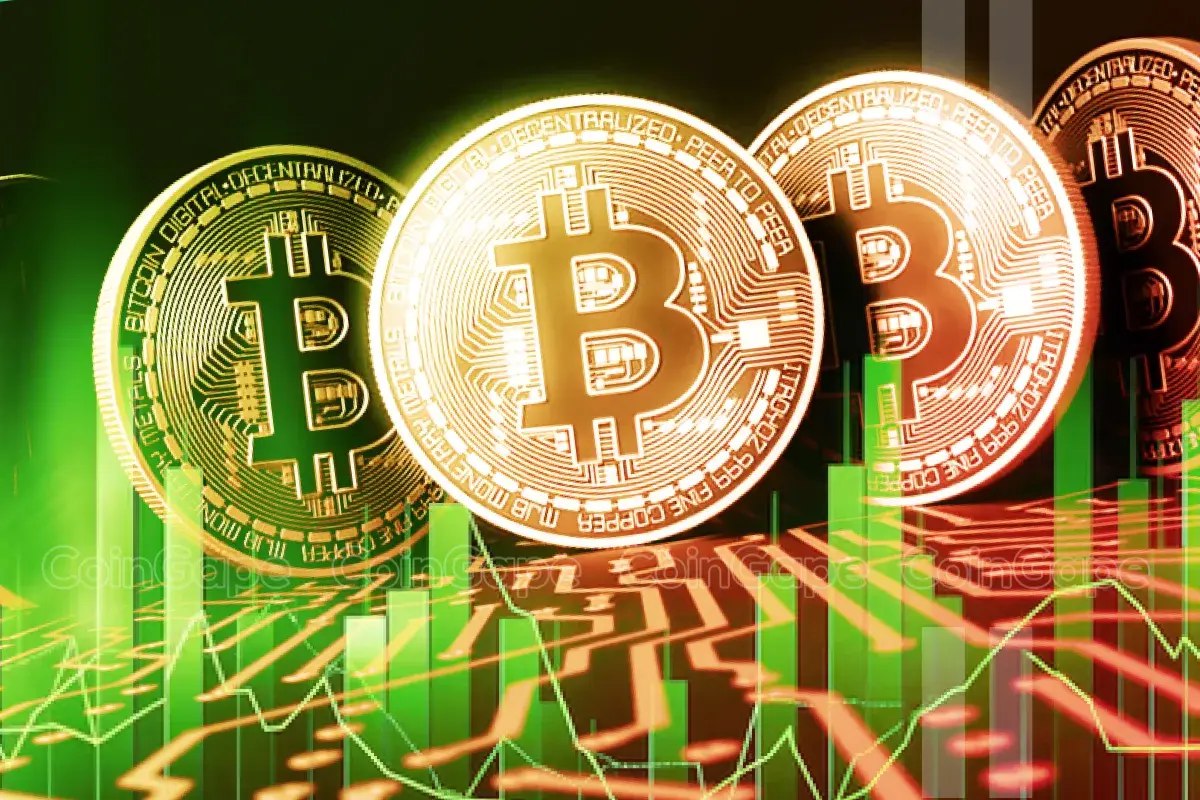 El Salvador transfers bitcoin to more addresses