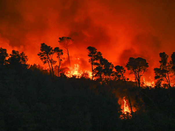 French firefighters are unsuccessful fighting with the highest fire in eight decades