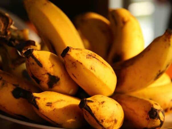 Greece: In banana found 270 kg of cocaine